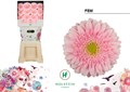 Гербера-Gerbera-Diamond Fem-50cm 41d1975f-5e86-11ed-0a80-0008007a6495