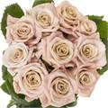 Роза-Rosa-Sweet Menta-50cm-CN 077a6d1a-294f-11ef-0a80-13990033ebef