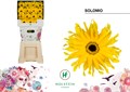 Гербера-Gerbera-Diamond Gerpasta Solomio-50cm 423f2989-2968-11ef-0a80-119b00206e2c