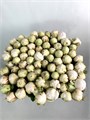 Пион-Peony-White Odile-60cm--CE 42d8fc35-322a-11f0-0a80-161e001ac027
