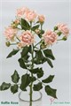 Роза куст-Rosa sp-#Sofine--50cm-Si 4344c38c-1ea0-11ef-0a80-0dc30018fa14