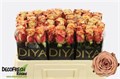 Роза-Rosa-Gr Cappuccino--50cm 4356f455-bfa5-11ec-0a80-0b4c0007c3b1