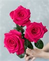 Роза-Rosa-Vi Pink-60cm-CN 439fc782-75b3-11ef-0a80-10ba002e9b46