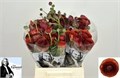 Ранункулус-Ranunculus-El Chocolate-45cm-33gr 43cf9e42-5e4c-11f0-0a80-01f40017d897
