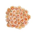 Роза-Rosa-Pearl Finess-40cm-QA 449f46ae-d819-11ec-0a80-0906001bee7a