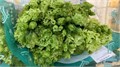 Лизиантус G-LISianthus G-Rosan Br Green-72cm 44eb8649-d0e7-11ee-0a80-14e60000eb26
