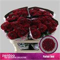 Хризантема одн-Chrysant Gr-Parker Red-70cm-80gr 4522cd8f-eb31-11f0-0a80-0718008ad28d
