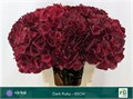 Гортензия-Hydrangea-M Mag Dark Ruby-65cm 453b91cb-5e4c-11f0-0a80-01f40017d966