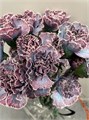 Гвоздика ст-Dianthus st-Hollandia--60cm 455d4677-63e6-11ed-0a80-022c0047b12e