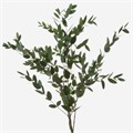 Эвкалипт-Eucalyptus-Parvifoglia -300gr 4563b537-bfa6-11ec-0a80-0b4c0008ac6c