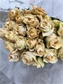 Роза куст-Rosa tr-Milky Way--50 cm 07fc8d5e-5070-11ee-0a80-09df002ca36f