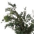 Эвкалипт-Eucalyptus-Parvifoglia-350gr-GW 4584f7bd-bfa6-11ec-0a80-0b4c0008ac89