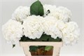 Гортензия-Hydrangea-M Schneeball-60cm 460e197f-bfa4-11ec-0a80-0b4c0006ca33