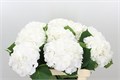 Гортензия-Hydrangea-M Schneeball--80cm-20gr 46241b82-bfa4-11ec-0a80-0b4c0006ca4c