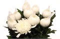 Хризантема одн-Chrysant Gr-Antonov-75cm-115gr 08165d64-bfa6-11ec-0a80-0b4c00086ae3