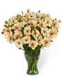 Ранункулус-Ranunculus-Butterfly Hestia-60cm-55gr 4674377a-036f-11f0-0a80-06da00005245