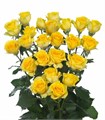 Роза куст-Rosa sp-Goldylock-40cm-RS 46c91e56-762e-11ed-0a80-057a002a39f6