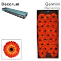Гербера-Gerbera-Mi Flamazing-50cm 46d42c32-036f-11f0-0a80-06da00005251
