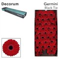 Гербера-Gerbera-Mi Black Tie-50cm 46d658c2-036f-11f0-0a80-06da00005254