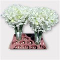 Латирус-Lathyrus-Wi Suns White--45cm 471edc95-485d-11f0-0a80-1019002d608c