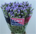 Лимониум-Limonium-S Sky Wings-80cm-38gr 474b9171-23cb-11ee-0a80-08ce0010f11c