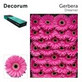 Гербера-Gerbera-Gr Dreamer Doos-45cm 47f5a361-f6d9-11ef-0a80-0f6b000bdd27