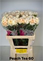 Гвоздика ст-Dianthus st-Peach Tea-65cm 4806b6aa-f6d9-11ef-0a80-0f6b000bdd2d