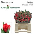 Тюльпан-Tulip-Du Double Twist-36cm-34gr 481ced2c-f6d9-11ef-0a80-0f6b000bdd39