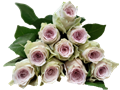 Роза-Rosa-Ayden-50cm-RO 482221c1-26a1-11f0-0a80-0dfe0008b771