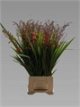 Крокосмия-Crocosmia-Red King-70cm 482d5bdc-8e1b-11f0-0a80-047e002689a3