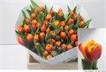 Тюльпан-Tulip-Du Atlas-40cm-31gr 48557be8-f6d9-11ef-0a80-0f6b000bdd63