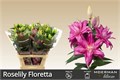 Лилия-Lilium-Or Du Rl Floretta-100cm 086be1e5-cc39-11f0-0a80-0ffc001d6c24