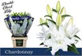Лилия-Lilium-Or Du Chardonnay-85cm 087c6d0b-c530-11f0-0a80-042d002513ee