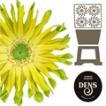 Гербера-Gerbera- Pastini Pistacchio Diamond-50cm 48d0ce8b-02d0-11f1-0a80-11ea00047f3c