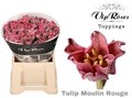 Тюльпан-Tulip-Co Coronet Moulin Rouge-39cm-34gr 49a30288-02d0-11f1-0a80-11ea00047fac