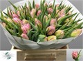 Тюльпан-Tulip-Du Salmon Price-34cm-35gr 49ae01ae-02d0-11f1-0a80-11ea00047fb5