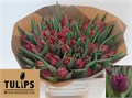 Тюльпан-Tulip-Du Alison Bradley-35cm-38gr 49c11e96-02d0-11f1-0a80-11ea00047fc6