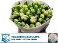 Тюльпан-Tulip-Du Ov-40cm-36gr 49c3b2d0-02d0-11f1-0a80-11ea00047fc9