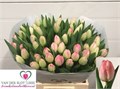 Тюльпан-Tulip-En Feline-38cm-54gr 49c7561f-02d0-11f1-0a80-11ea00047fcc