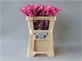 Латирус-Lathyrus-Wi Suns Rose-50cm 49f8878f-08fb-11ee-0a80-0c7e006492bc