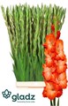 Гладиолус Gr-Gladiolus Gr-Stormy-125cm-230gr 4a7310f9-620c-11ef-0a80-065d0030cbea