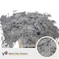Аспарагус-Asparagus-Extra Zilver white-GW 4aca987d-ed5a-11f0-0a80-1a2200a05885