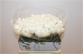 Ранункулус-Ranunculus-Cloni Ex Bianco-40cm 4af214b3-64e1-11ed-0a80-0d5c00122d04