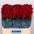 Роза-Rosa-Gr Madam Red-50cm 4c13c461-bfa5-11ec-0a80-0b4c0007c9e7