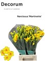 Нарцисс-Narcissus-Ta Martinette-45cm-45gr 4cd9c90e-0d83-11f0-0a80-0c4900676772