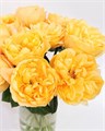 Роза-Rosa-Bergamotte-50cm-RS-vn 4d731bb1-9e57-11ed-0a80-05fa002f6b84