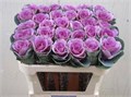 Брассика-Brassica-Emp Olga Pink-70cm 4d8b6090-96c2-11ef-0a80-14c5002dda14
