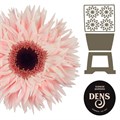 Гербера-Gerbera-Spider Abu Diamond-50cm 4db64a8e-96c2-11ef-0a80-14c5002dda57