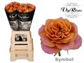 Роза-Rosa-Gr Symbol-70cm 4dda3b9b-bfa5-11ec-0a80-0b4c0007cb94