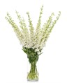 Дельфиниум-Delphinium-Siberia-90cm-Bg 4e0d2418-97f4-11ed-0a80-012d0099e4de